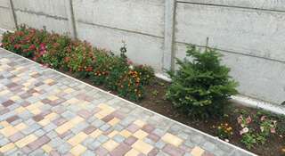 Гостиница Guest house Coral Прибрежное-6